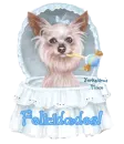 Felicidades