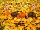 AUTUMN