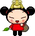 PUCCA