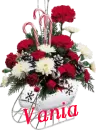 Christmas Flower Sleigh - Vania