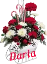 Christmas Flower Sleigh - Darla