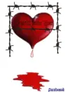 still love you 