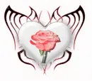Heart...