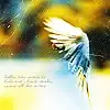 birdy