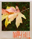happy fall