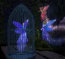 fairy in cage