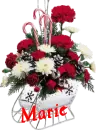 Christmas Flower Sleigh - Marie