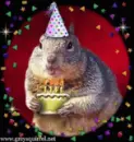 birthday squirrel