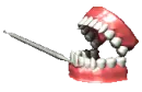 counting teeth