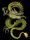 glowing dragon