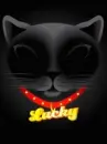 lucky black cat