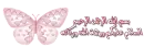  islamic
