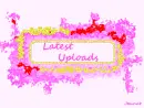 latest uploads