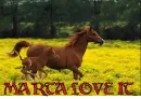 Horses -- Marta love it 