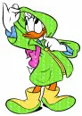Daisy - Green/Yellow