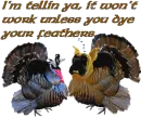 Turkeys in disguise.. 