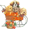 Dogs in a Cart - Hugs - Cindi