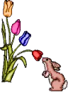 BUNNY