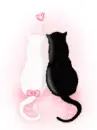 BabyCat