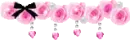 pink roses