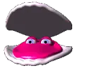 hiding clam