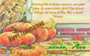 thanksgiving ann