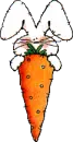 BUNNY