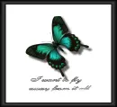 fly away