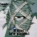 hiei... is the cutest pinata EVER!!!!!!!!!!!!!!!!!!!!!!!