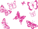 pink butterflies