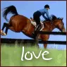horse