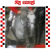fly away