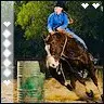 horse