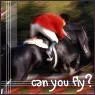 can you fly