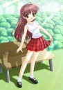 Day at the Park