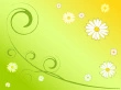 spring flowers