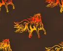Blaze