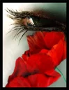 eye  unknow
