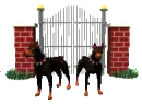 dogs by a gate