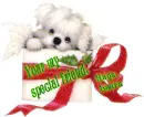 Your my special friend