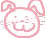 Cute bunny