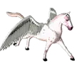 galloping pegasus avatar
