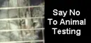 No Testing!
