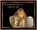 All Animals!