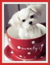 sweet