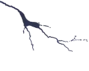 Lightning crack