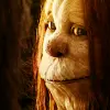 Where The Wild Things Are