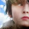 Where The Wild Things Are