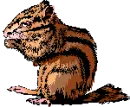 CHIMPMUNK