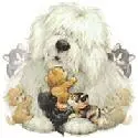 DOGS